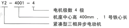 YR系列(H355-1000)高压YR4504-4三相异步电机西安西玛电机型号说明